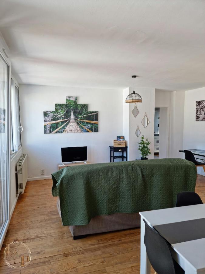 Le Belvedere Vue Pyrenees, Familiale, Centre Tarbes Lägenhet Exteriör bild